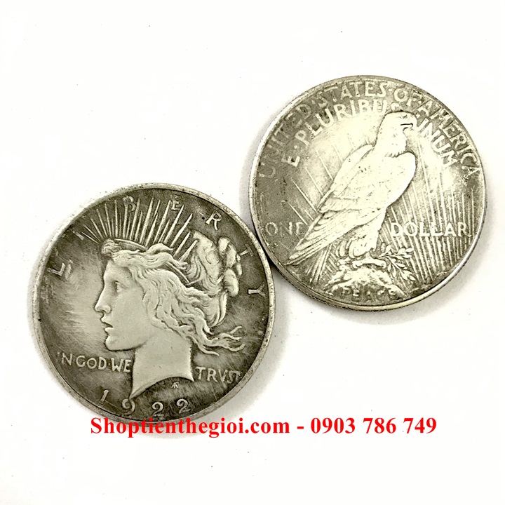 Xu USA - Mỹ 1 Dollar 1922 FAKE - SP005303